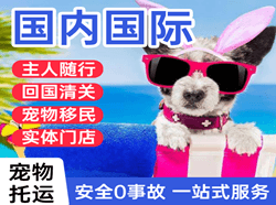 伊春林都航空运输国际宠物托运 【国